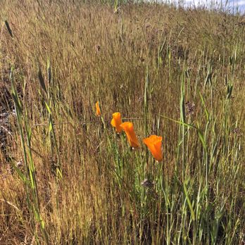 Riverfront Trail - Hiking Near Me - The Dalles, Oregon
