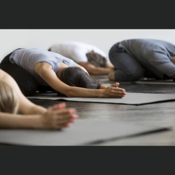 Flow Midwest Yoga & Meditation