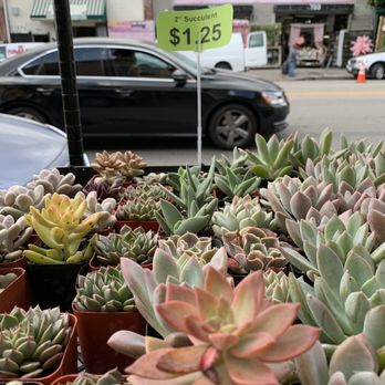 Moon Atelier - Florists Near Me - Los Angeles, California Moon Atelier - Florists Near Me - Los Angeles, California