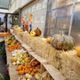Photo of Confreda Greenhouses & Farms