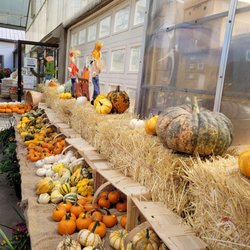 Confreda Greenhouses & Farms
