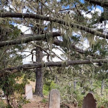 Purissima Cemetery - Funeral Services & Cemeteries Near Me - Half Moon Bay, California Purissima Cemetery - Funeral Services & Cemeteries Near Me - Half Moon Bay, California