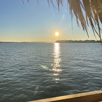 Floating Turtle Cruises - Boat Tours Near Me - Naples, Florida