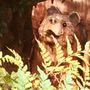 Photo of Korbly Wood Products