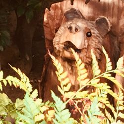 Korbly Wood Products - Bear in the tree