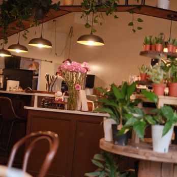 Green Haus Cafe - Interior - Cafes Near Me - Boston, Massachusetts
