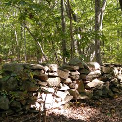 Ashland Town Forest - Red trail, stone wall, 9/25/16