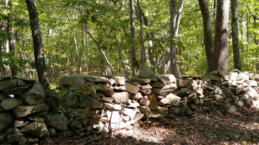Ashland Town Forest Image