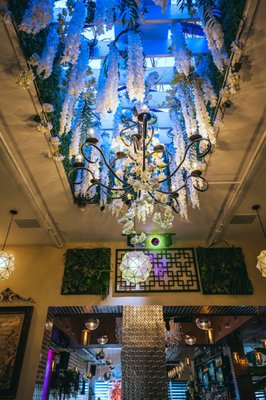 Martin's Cocina y Cantina by null