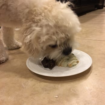 Three Dog Bakery - Mmmmm - Pet Stores Near Me - Las Vegas, Nevada Three Dog Bakery - Mmmmm - Pet Stores Near Me - Las Vegas, Nevada