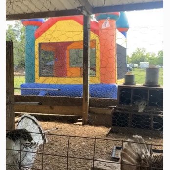 Cowford Farm - Cowford Farm - Farms Near Me - Jacksonville, Florida Cowford Farm - Cowford Farm - Farms Near Me - Jacksonville, Florida