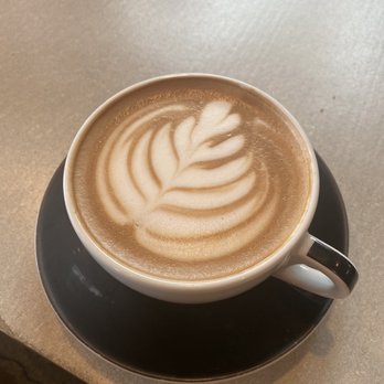 Siphon Coffee - Mocha is good! - Cafes Near Me - Houston, Texas