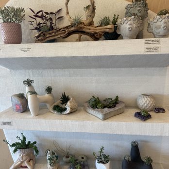 ILoveTus Succulents - Nurseries & Gardening Near Me - Los Angeles, California