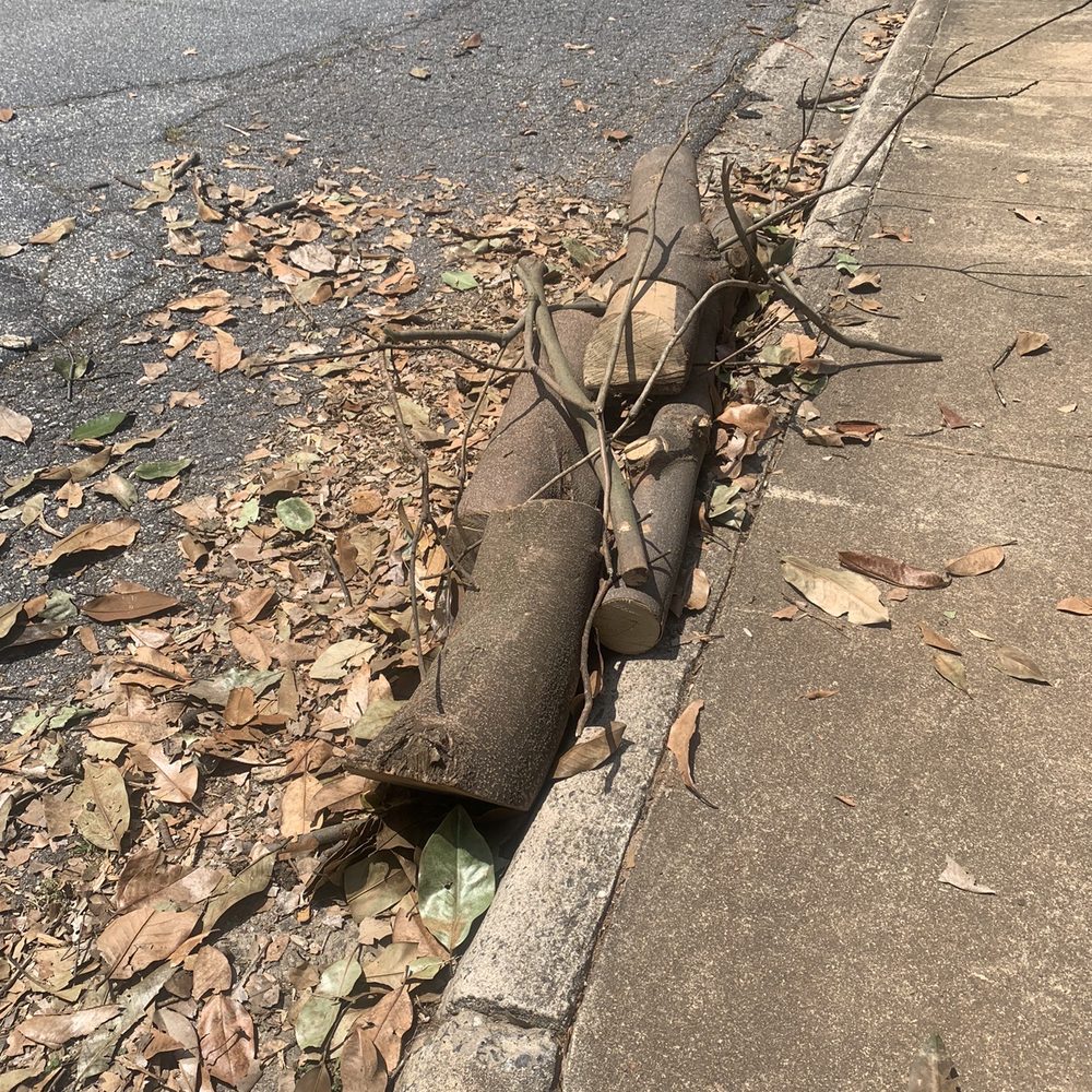 Yard 'N Gnome Lawncare - left debris - Lawn Services Near Me