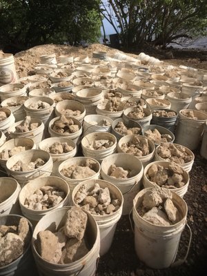 Paepae o He'eia by null