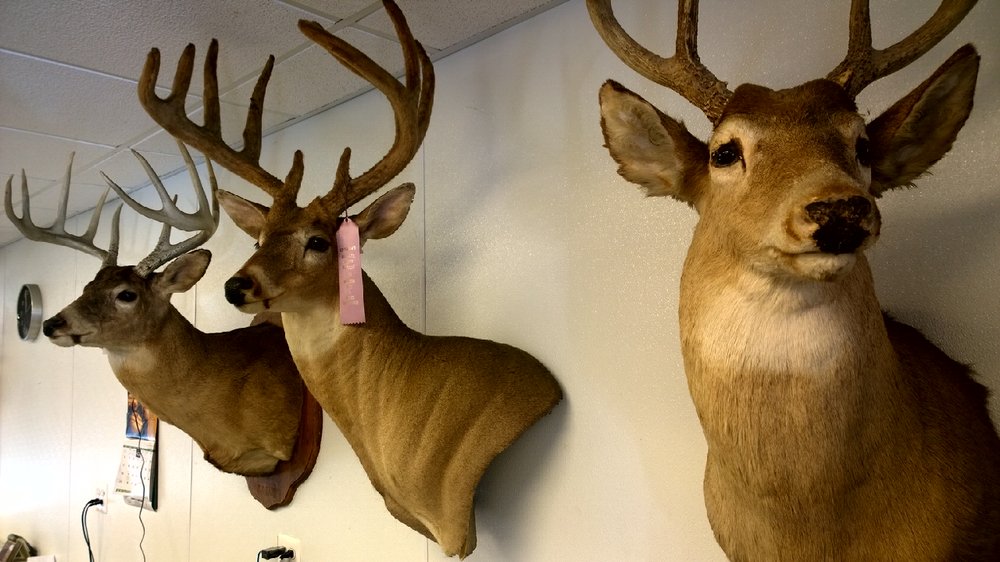 RONNIE BERRYS HALAL MEATS Updated August 2024 37 Photos & 18