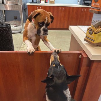 Three Dog Bakery - Friendly store doggy - Pet Stores Near Me - Apple Valley, Minnesota