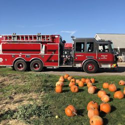 Monroes Orchard & Farm Market - Fall fest fun.
