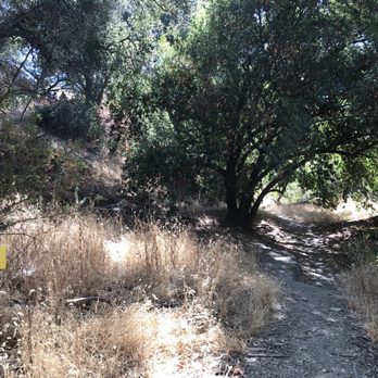 Sunol Regional Wilderness Area - Parks Near Me - Sunol, California Sunol Regional Wilderness Area - Parks Near Me - Sunol, California