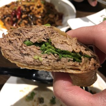 Tiger Noodle House - Beef Rolls - Chinese Near Me - Katy, Texas Tiger Noodle House - Beef Rolls - Chinese Near Me - Katy, Texas