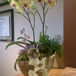 Fire Dragon Acupuncture & Massage