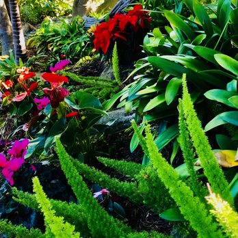 Self Realization Fellowship Hermitage & Meditation Gardens - Luxuriant - Meditation Centers Near Me - Encinitas, California Self Realization Fellowship Hermitage & Meditation Gardens - Luxuriant - Meditation Centers Near Me - Encinitas, California