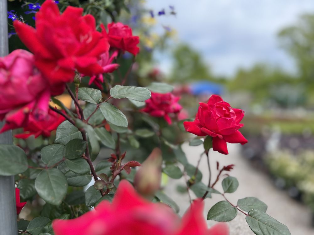 POPES AT CREEKSIDE Updated August 2024 38 Photos 8718 S