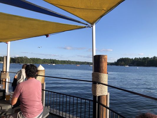 Thirsty Whale by null