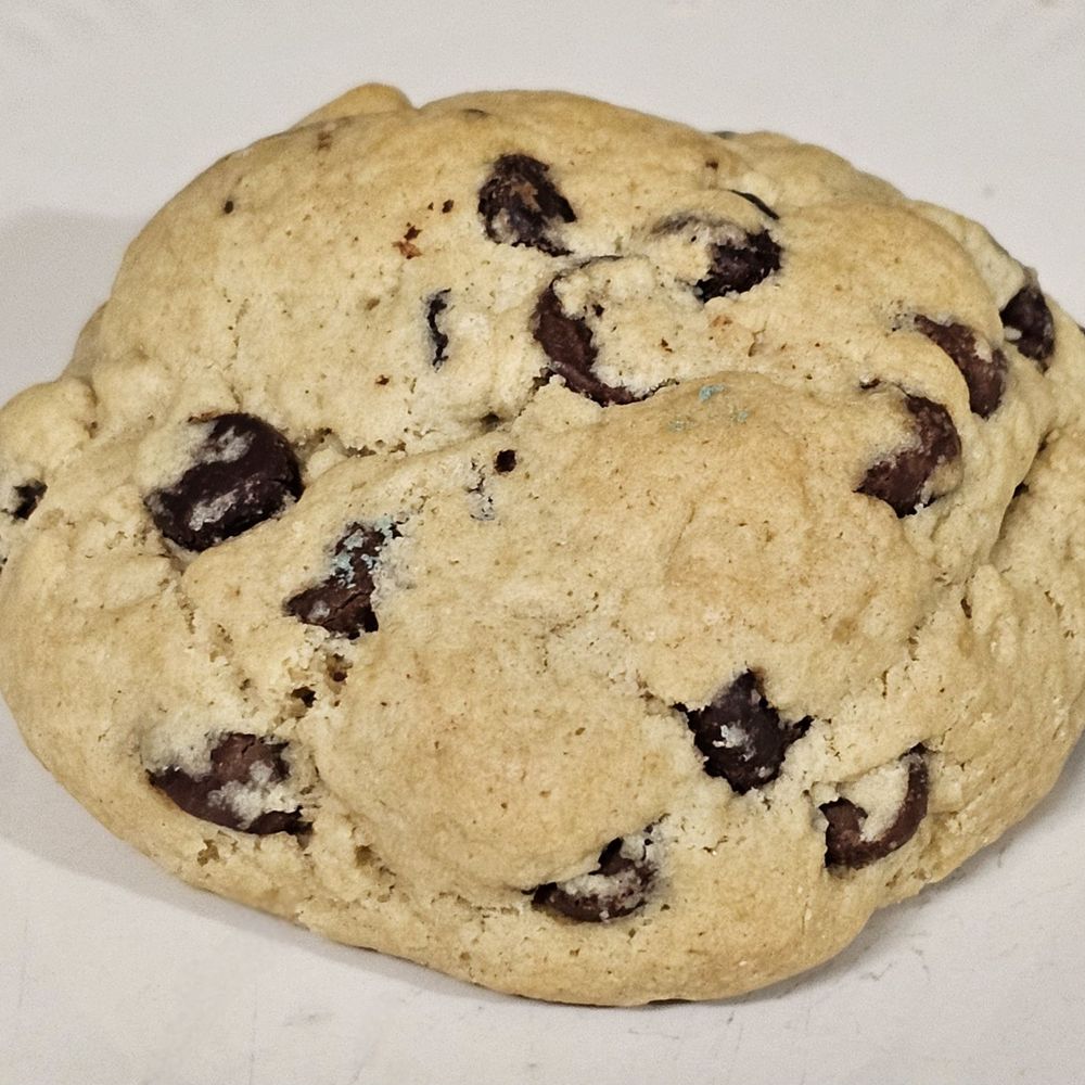 Seven Oaks Coffee - Chocolate Chip scone - Coffee & Tea Near Me - Leander, Texas Seven Oaks Coffee - Chocolate Chip scone - Coffee & Tea Near Me - Leander, Texas