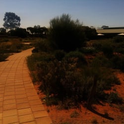 Bluebush Cafe - The gardens with the Cafe in the background