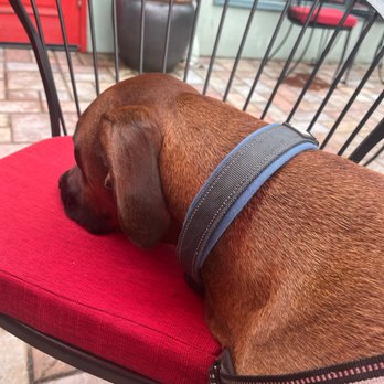Vault 177 - Dog friendly! - New American Near Me - Shoreline, Washington
