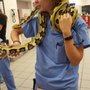 Photo of Premier Animal Care