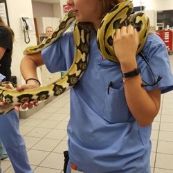 Premier Animal Care - We love all animals, not just the fuzzy kinds!