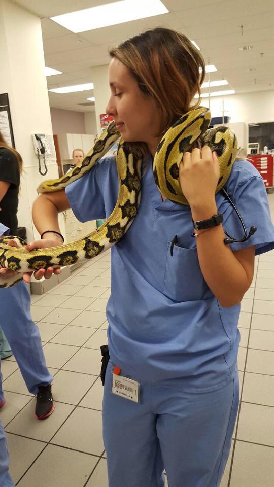 Premier Animal Care - pet boarding facility in Nashville, TN