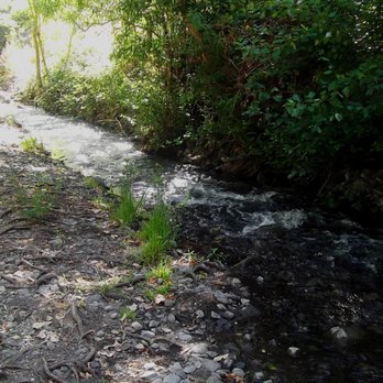 Los Gatos Creek Trail - Nice picnic spot. - Parks Near Me - Campbell, California