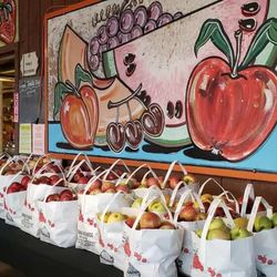 Bergman Orchards - Apples