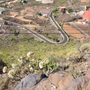 Photo of Tamaimo