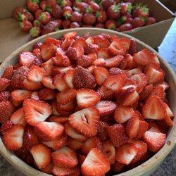 Engelberry Farm - Mmmm. strawberries!