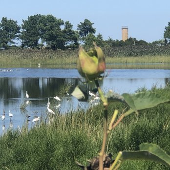 Holly Haven - Gordons Pond - Bed & Breakfast Near Me - Rehoboth Beach, Delaware
