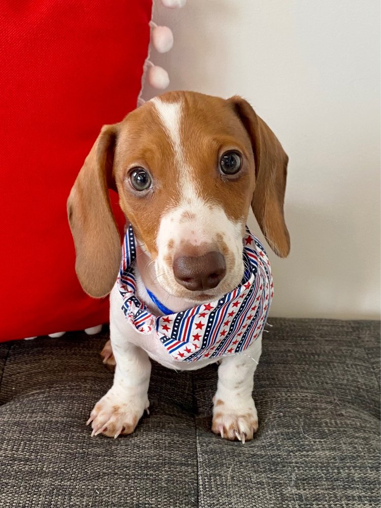 TRILOGY VETERINARY MEDICAL CENTER Updated September 2024 37 Photos