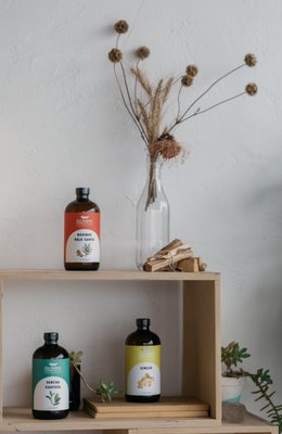 Fine Feathers Kombucha Company by null