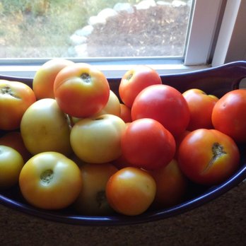 Eden Brothers - Yum! - Nurseries & Gardening Near Me - Arden, North Carolina