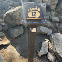 Big Bear Lake Woodland Trail - #12