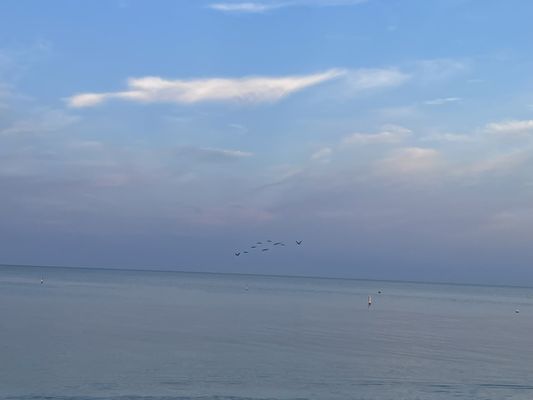 Bonita Beach Park by null
