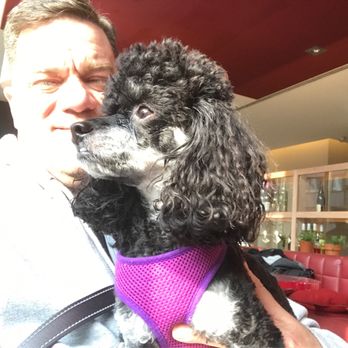 Vapiano - Dogs are welcomed - Italian Near Me - Karlsruhe, BW