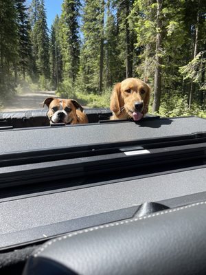 Ponderosa State Park by null