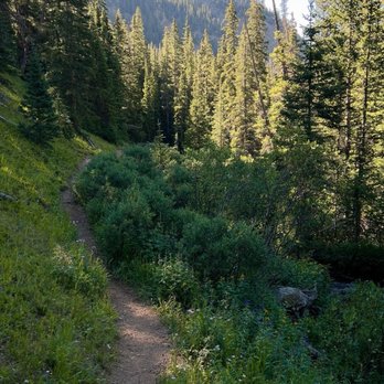 Shelf Lake - A narrow dirt trail winds through a dense forest of tall pine trees on a mountain slope. The scene is illuminated by sunlight, with a backdrop of mountain peaks covered in trees. The trail is surrounded by green shrubs and grass, creating a natural, serene landscape suitable for hiking or outdoor exploration. - Hiking Near Me - Grant, Colorado
