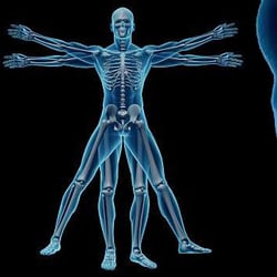 Harmony Chiropractic