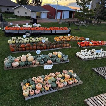 Erickson Family Farm - Pumpkin - Attraction Farms Near Me - Edgar, Wisconsin