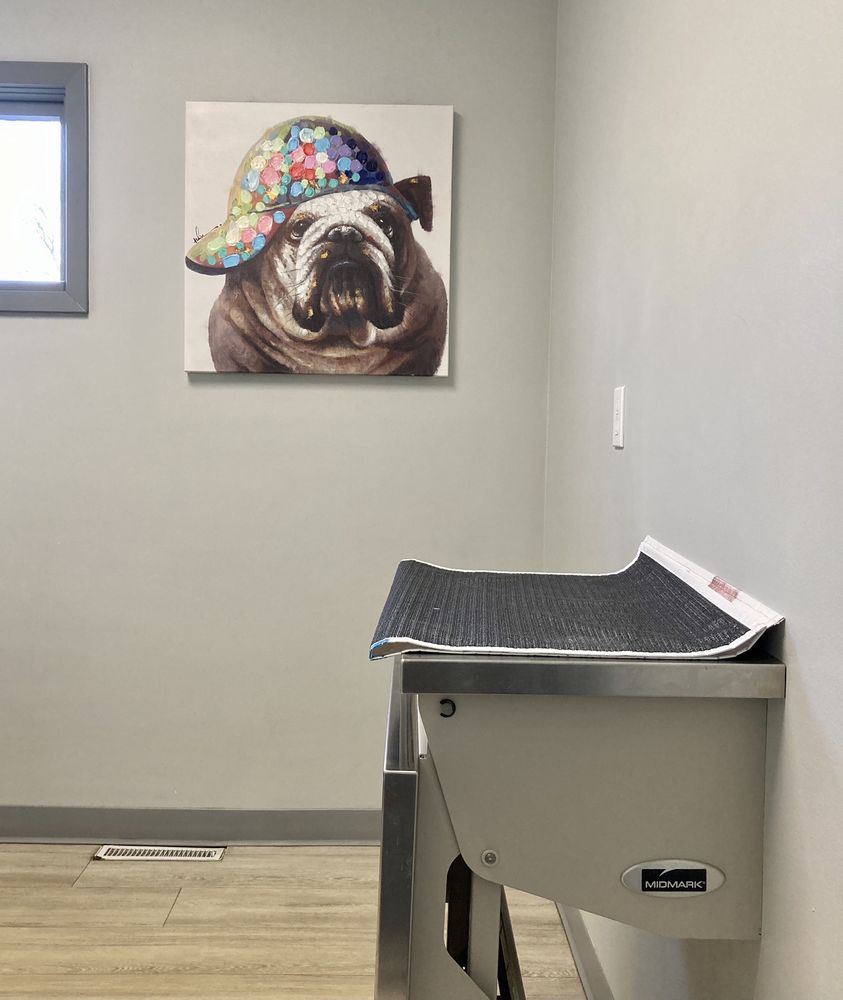 Pet Services WESTGATE ANIMAL CLINIC 21 Photos & 14 Reviews 8258